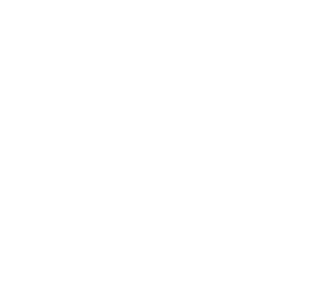 DuckyVisual Media Co. Logo Logo for DuckyVisual Media Company, The logo is a silhouette of a duck within the letter "D"